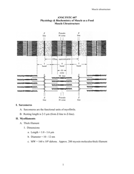 3. Muscle Ultrastructure