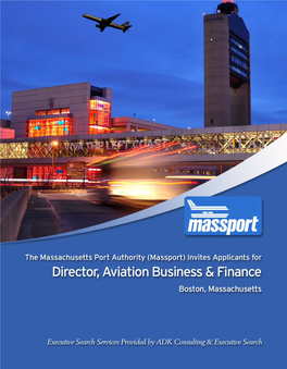 Director, Aviation Business & Finance