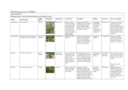 BFN Priority Species of TURKEY