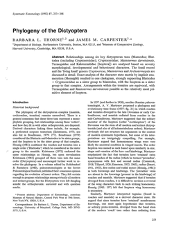 Phylogeny of the Dictyoptera