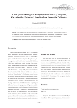 Coleoptera, Curculionidae, Entiminae) from Southern Luzon, the Philippines