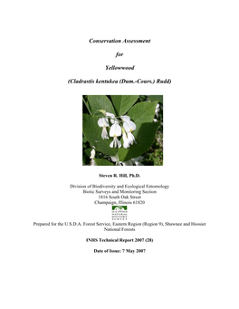 Conservation Assessment for Yellowwood (Cladrastis Kentukea (Dum.-Cours.) Rudd)