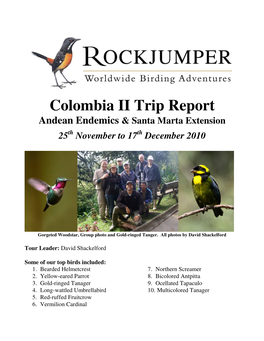 Colombia II Trip Report Andean Endemics & Santa Marta Extension