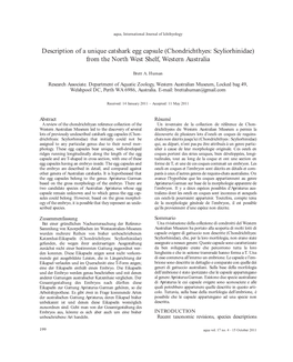 Description of a Unique Catshark Egg Capsule (Chondrichthyes: Scyliorhinidae) from the North West Shelf, Western Australia