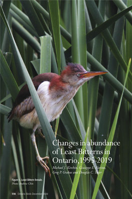 Changes in Abundance of Least Bitterns in Ontario,1995-2019