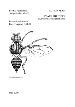 Action Plan Peach Fruit Fly Bactrocera Zonata