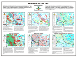 Wildlife Poster in the Dehcho Territory