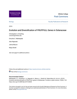 Evolution and Diversification of FRUITFULL Genes in Solanaceae