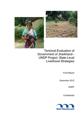 Terminal Evaluation of Government of Jharkhand - UNDP Project: State Level Livelihood Strategies