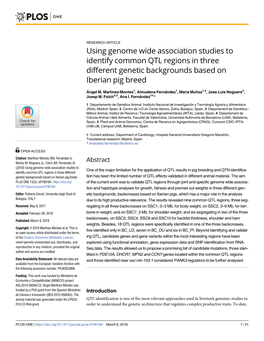 Using Genome Wide Association Studies to Identify Common QTL Regions in Three Different Genetic Backgrounds Based on Iberian Pig Breed