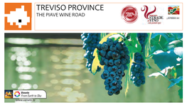 Treviso Province the Piave Wine Road Wine and Its Roads