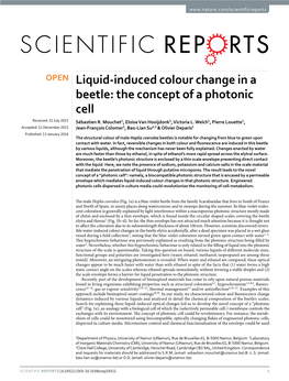 Liquid-Induced Colour Change in a Beetle: the Concept of a Photonic Cell Received: 31 July 2015 Sébastien R