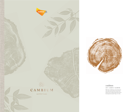 Brochure-Cambium-Houses-NEW.Pdf