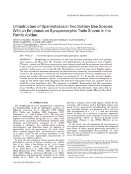 Ultrastructure of Spermatozoa in Two Solitary Bee Species with an Emphasis on Synapomorphic Traits Shared in the Family Apidae