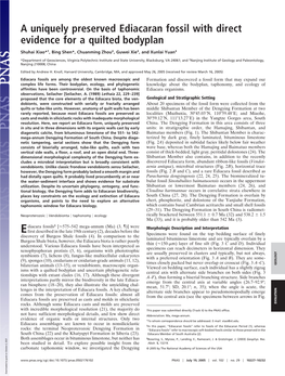 A Uniquely Preserved Ediacaran Fossil with Direct Evidence for a Quilted Bodyplan