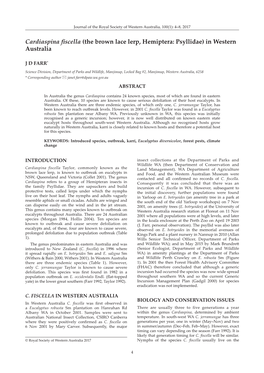 Cardiaspina Fiscella (The Brown Lace Lerp, Hemiptera: Psyllidae) in Western Australia