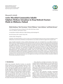 Active Microbial Communities Inhabit Sulphate-Methane Interphase in Deep Bedrock Fracture Fluids in Olkiluoto, Finland