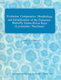 Evolution, Comparative Morphology, and Identification of the Eumaeine Butterfly Genus Rekoa Kaye (Lycaenidae: Theclinae)