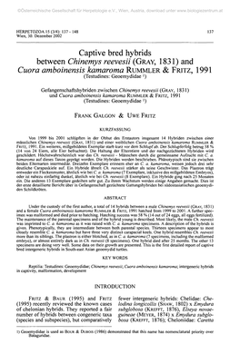 Captive Bred Hybrids Between Chinemys Reevesii (GRAY, 1831) and Cuora Amboinensis Kamaroma RUMMLER & FRITZ, 1991 (Testudines: Geoemydidae ')