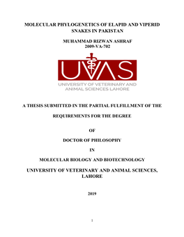 Molecular Phylogenetics of Elapid and Viperid Snakes in Pakistan