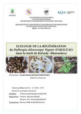 Ecologie De La Régénération De Dalbergia Chlorocarpa