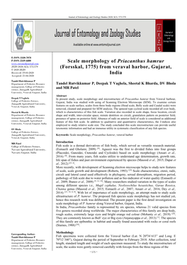 Scale Morphology of Priacanthus Hamrur (Forsskal, 1775) from Veraval Harbor, Gujarat, India