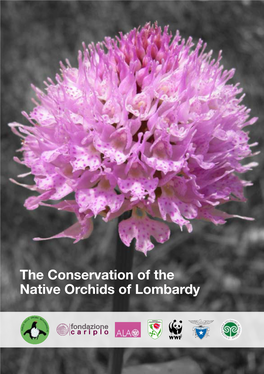 The Conservation of the Native Orchids of Lombardy Text By: Simon Pierce, Università Degli Studi Dell’Insubria