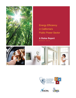 Energy Efficiency in California's Public Power Sector