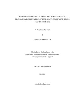 Microbe-Mineral Relationships and Biogenic Mineral Transformations in Actively Venting Deep-Sea Hydrothermal Sulfide Chimneys