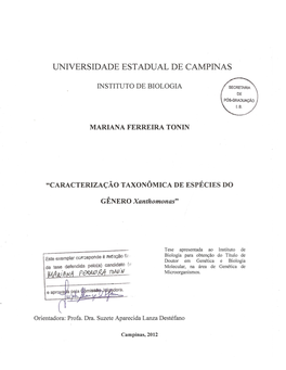 Tonin Marianaferreira D.Pdf