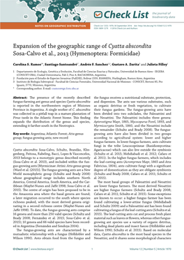 Cyatta Abscondita Sosa-Calvo Et Al., 2013 (Hymenoptera: Formicidae)