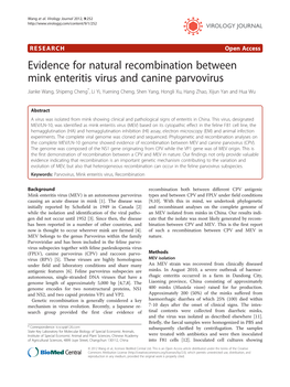 Evidence for Natural Recombination Between Mink Enteritis Virus And