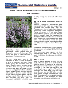 Warm Climate Production Guidelines for Plectranthus