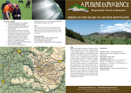 Hiking in the Heart of Apuseni Mountains