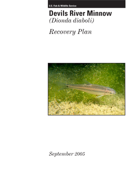 Devils River Minnow (Dionda Diaboli) Recovery Plan