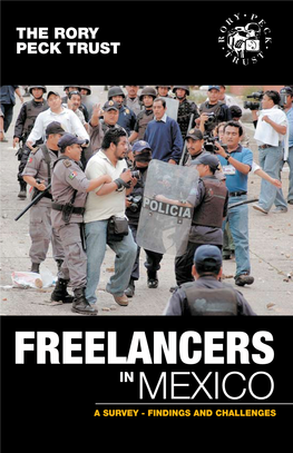 Freelancers in Mexico Report