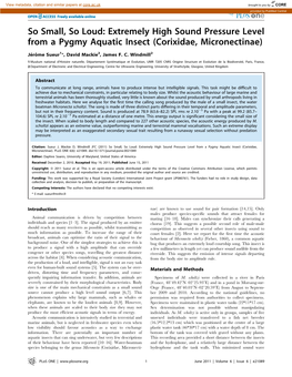 Extremely High Sound Pressure Level from a Pygmy Aquatic Insect (Corixidae, Micronectinae)