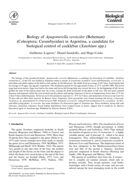 In Argentina, a Candidate for Biological Control of Cocklebur (Xanthium Spp.)