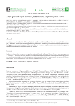 A New Species of Amyris (Rutaceae, Toddalioideae, Amyridinae) from Mexico