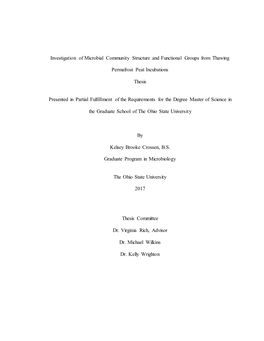 1 Investigation of Microbial Community Structure and Functional Groups from Thawing Permafrost Peat Incubations Thesis Presented