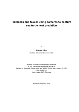 Flatbacks and Foxes Using Cameras to Capture Sea Turtle Nest Predation