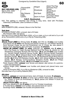 Storm Front (IRE) (By Strong Gale): 6 Wins, £21,742 Viz