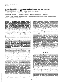 A Psychrophilic Crenarchaeon Inhabits a Marine Sponge: Cenarchaeum Symbiosum Gen