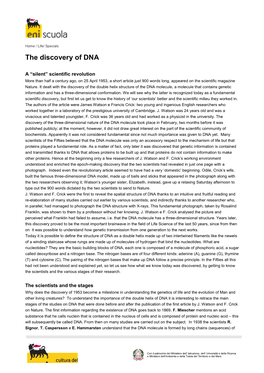 The Discovery of DNA