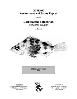 Darkblotched Rockfish (Sebastes Crameri): Is Pooling Samples Safe? Canadian Journal of Fisheries and Aquatic Sciences 62 (8): 1874-1886