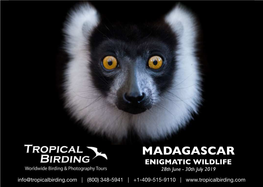 Madagascar, 2019