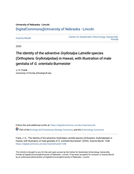The Identity of the Adventive &lt;I&gt;Gryllotalpa Latreille&lt;/I&gt; Species