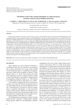 Life-History Traits of the Commercial Blonde Ray, Raja Brachyura, from the Central-Western Mediterranean Sea C