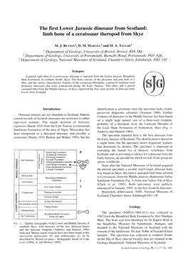 The First Lower Jurassic Dinosaur from Scotland: Limb Bone of a Ceratosaur Theropod from Skye
