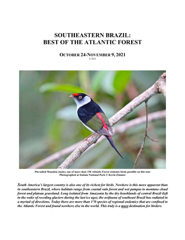 Southeastern Brazil: Best of the Atlantic Forest
